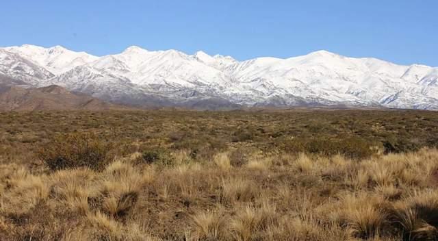 "世界最佳和南美最佳"酒庄——朱卡迪 - 知乎