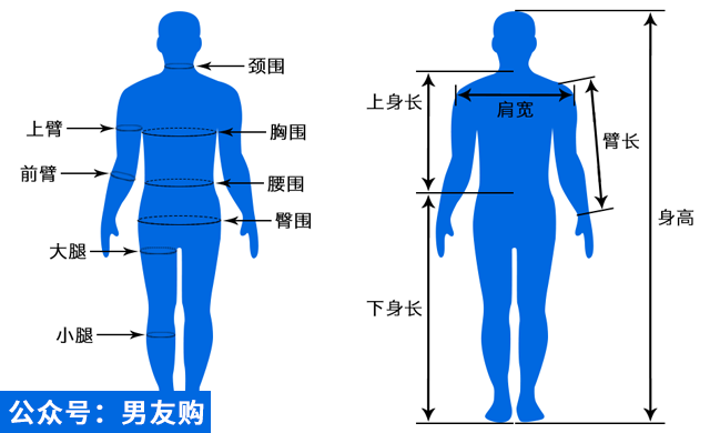 男生想要变帅?第二步 了解自己的身体