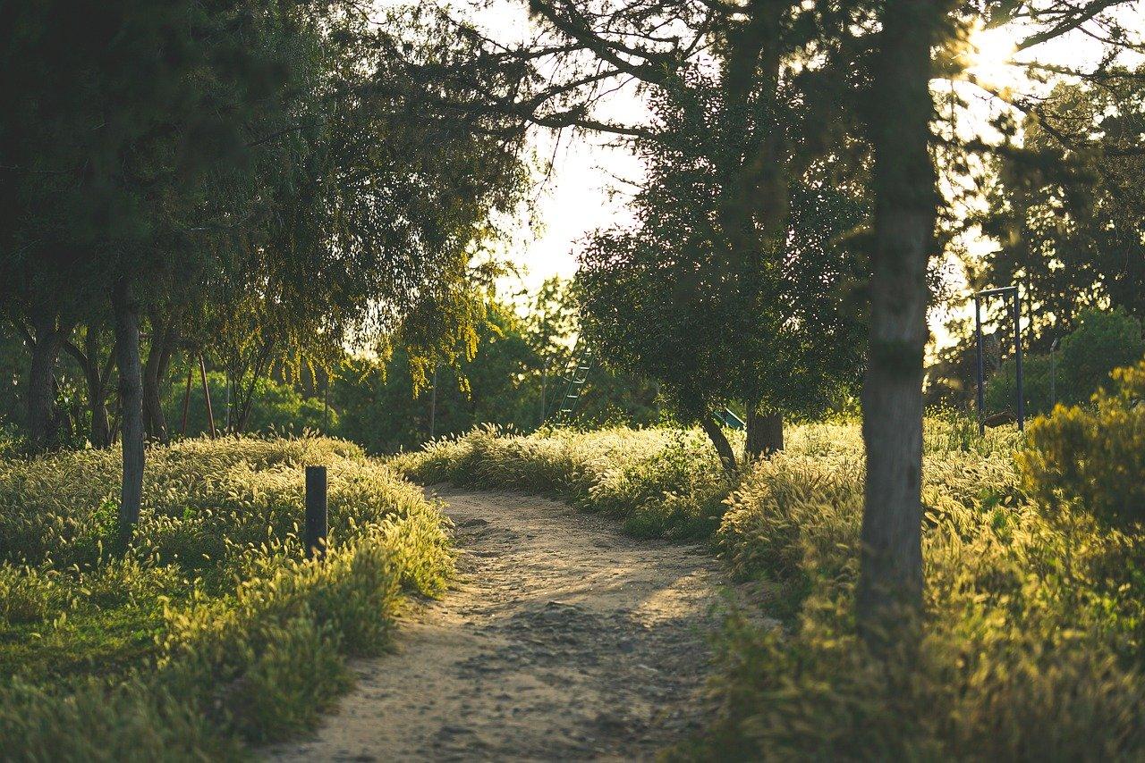 大树银河湾什么区
