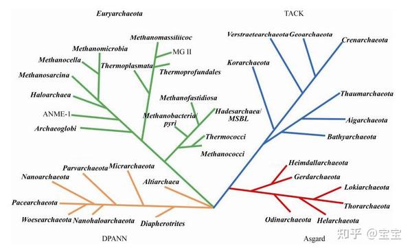 生物进化树整理 - 知乎