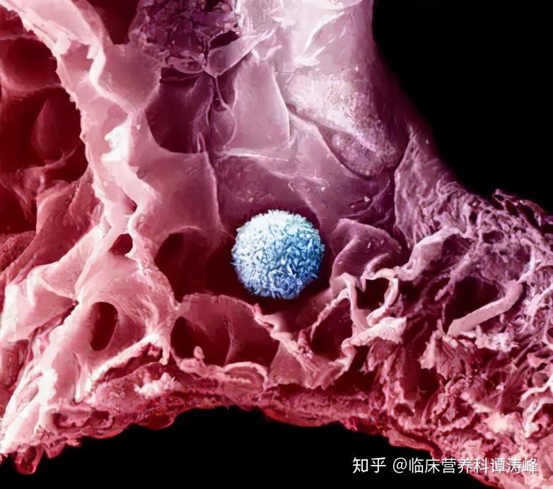 白细胞下降了怎么办要不要打升白针这3大误区以后别再信了