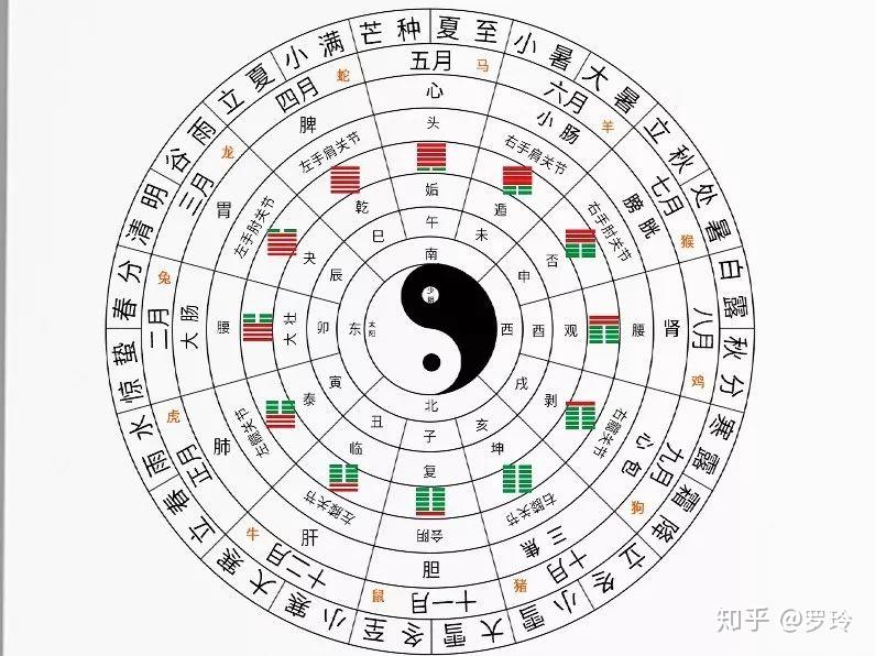 教你看懂《黄帝内经》中一天的"养生十二时辰"