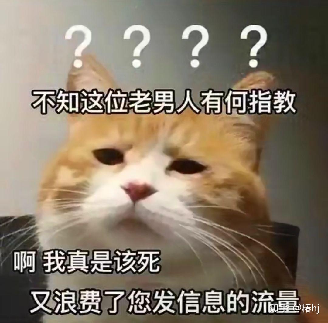 對付男朋友不回消息的表情包