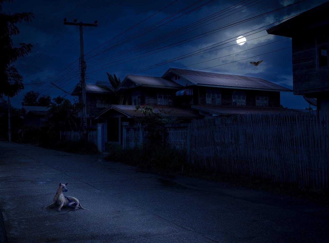 2. 南宁核心地段