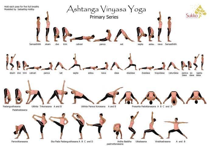 the-best-basic-yoga-references-fit