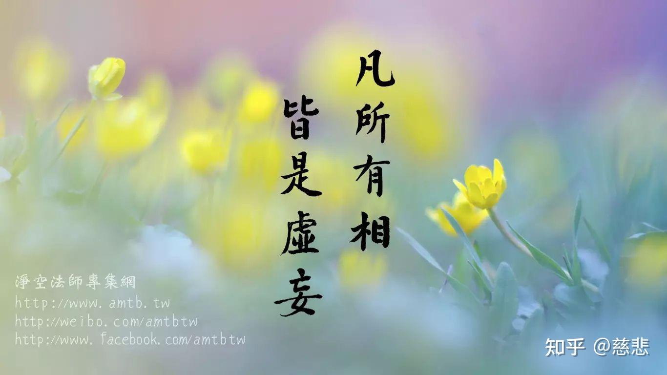 v2-6984cd99abd9945cbb8cd67e709fd254_r.jpg