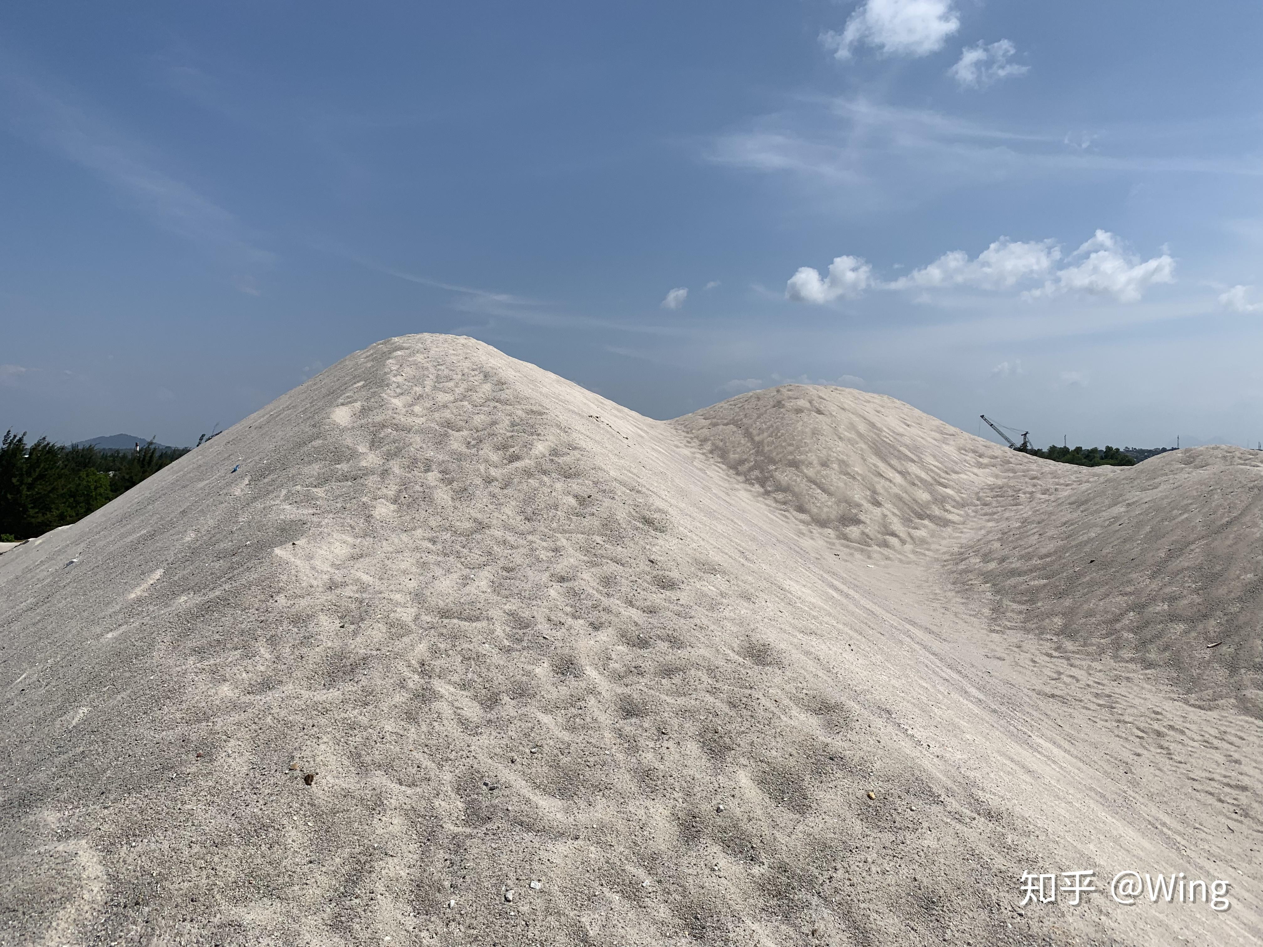 营生田野调查硅沙