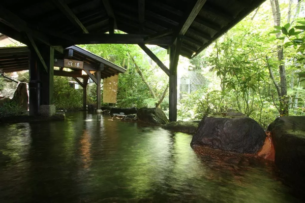 骨灰级老 泡 私藏 日本九州5县23家顶级温泉旅馆 知乎