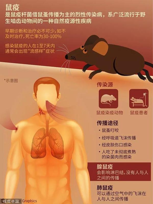北京确诊两例肺鼠疫病例 但不必紧张 中国已建立起严密的鼠疫防控网络 大规模感染几无可能 知乎