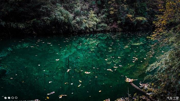 一人一唐,自驾洛南金丝峡,瞰五彩斑斓深秋神瀑峡沟