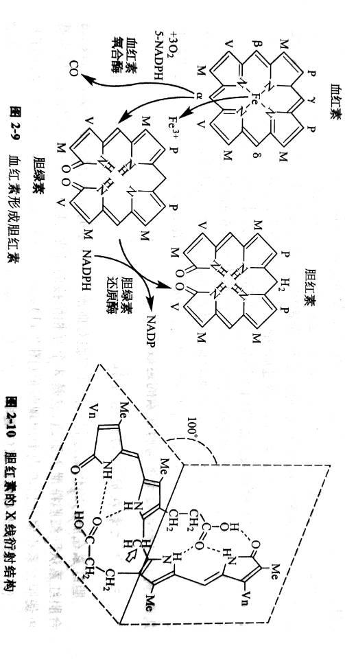 甲烯结构简式图片