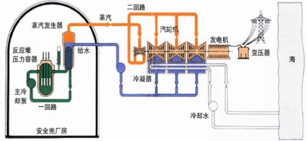 中国核电前景如何?