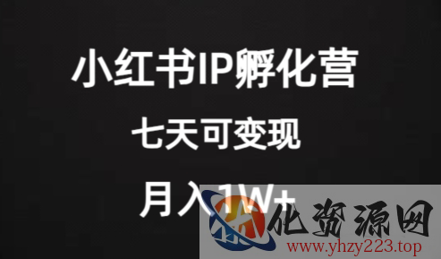 价值2000+的小红书IP孵化营项目，超级大蓝海，七天即可开始变现，稳定月入1W+