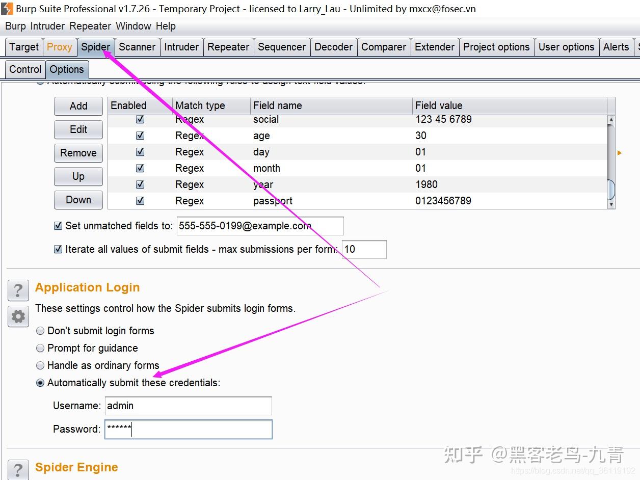  burpsuite 