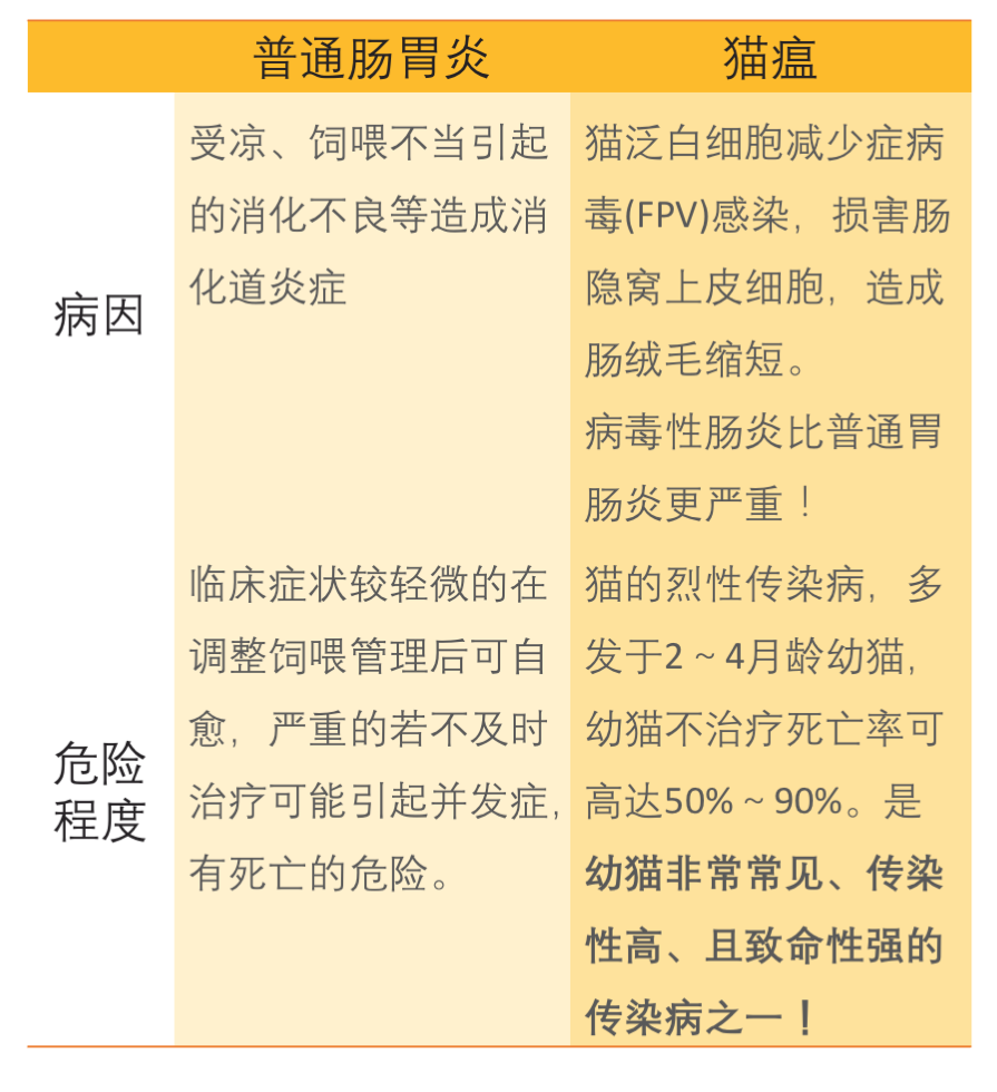 猫瘟与肠胃炎都会引起呕吐,腹泻,如何分辨?