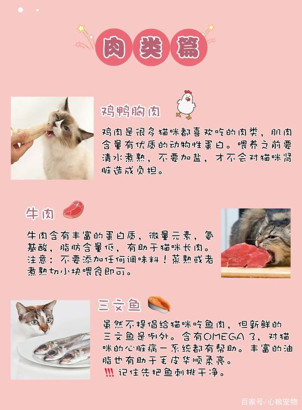 猫咪饮食 | 20种猫咪能吃的人类食物汇总! - 知乎