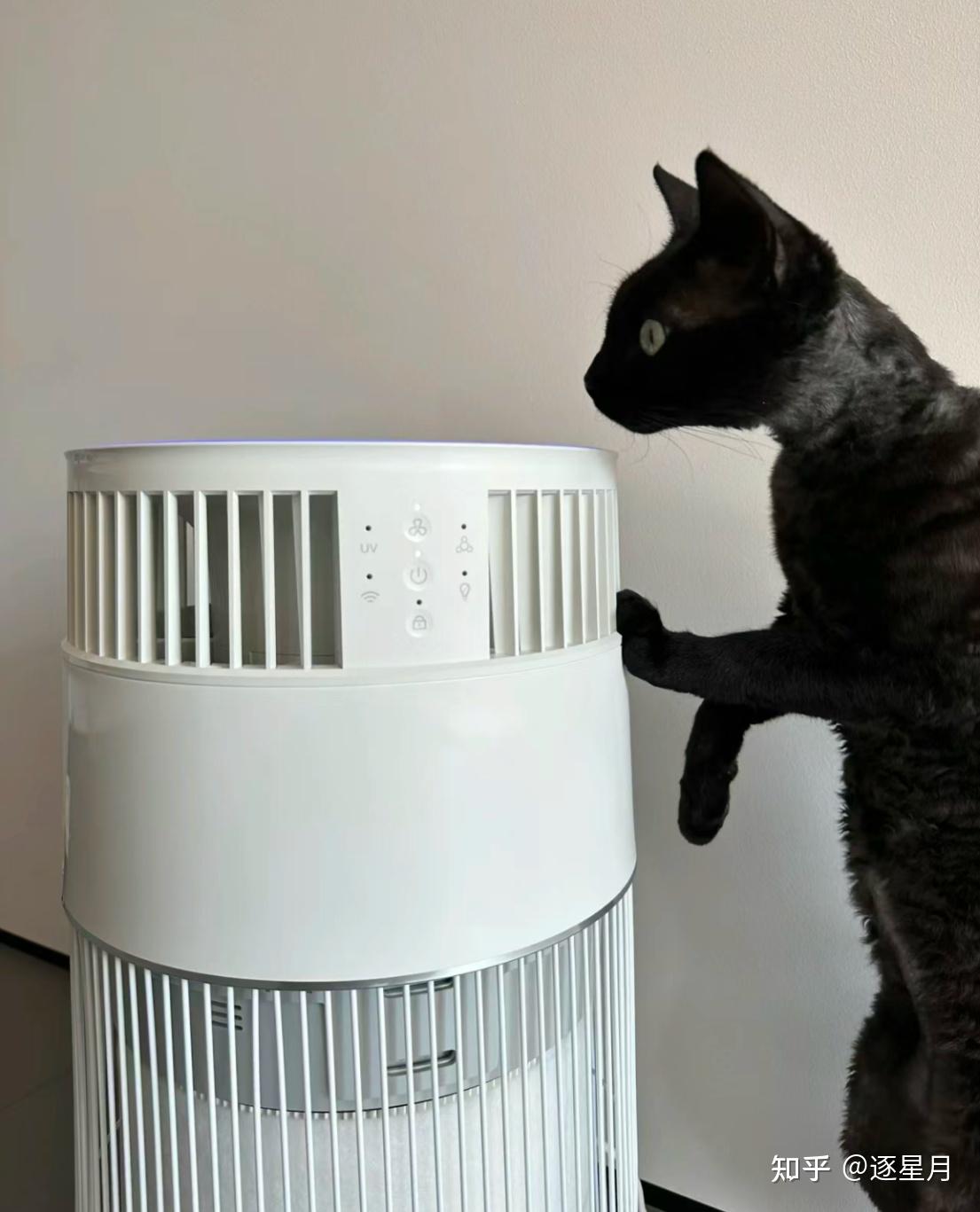 2024年哪个牌子的空气净化器最值得入手霍尼韦尔空气净化器怎么样