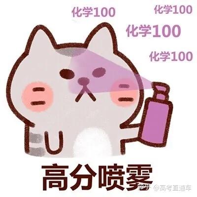 广东教育考试服务网查询成绩_广东2015中级会计查询成绩_河北省教育考试查成绩