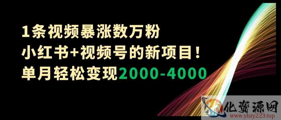 1条视频暴涨数万粉--小红书+视频号的新项目！单月轻松变现2000-4000【揭秘】