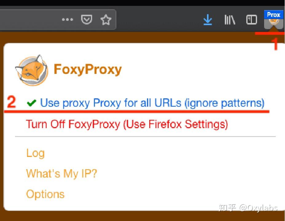 foxyproxy的安装与使用
