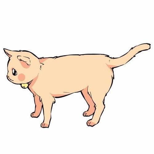 猫咪和尾巴的爱恨情仇