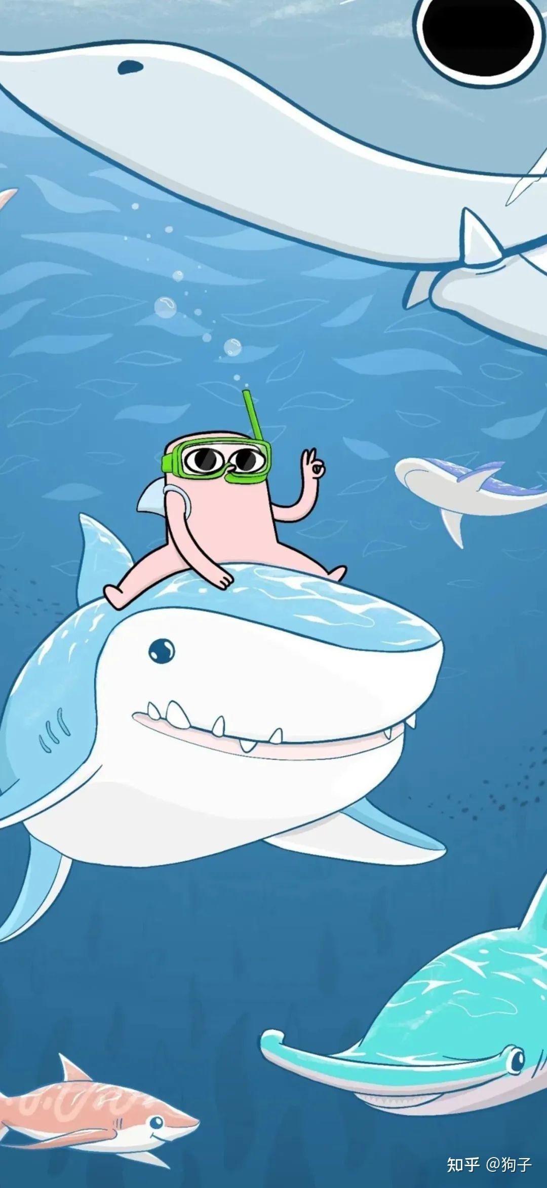 分享一波魅族17的挖孔壁纸