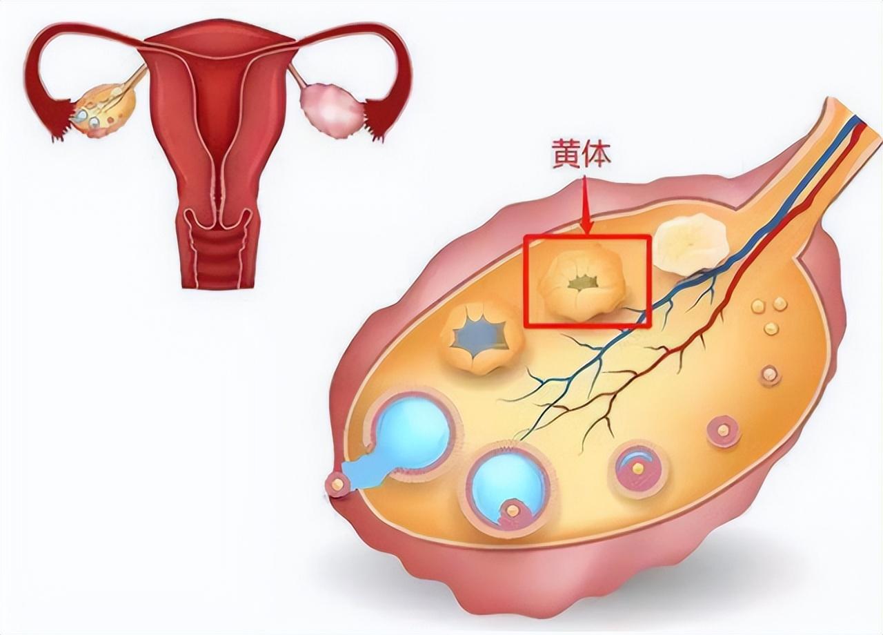 女性腹部或者下部如果遭受到強大的撞擊