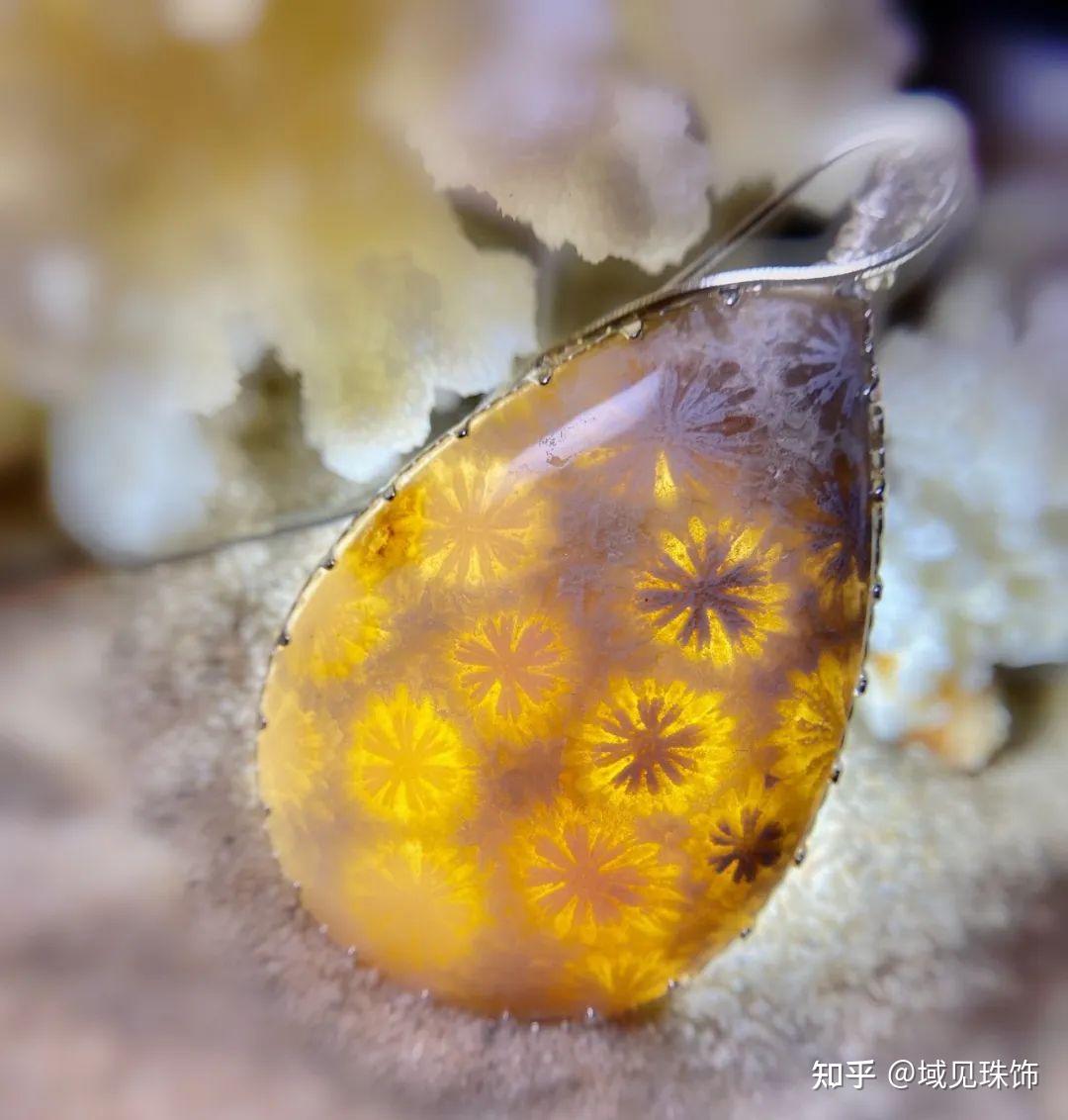 珊瑚化石,又名珊瑚玉,是一种有机的生物遗体,据说