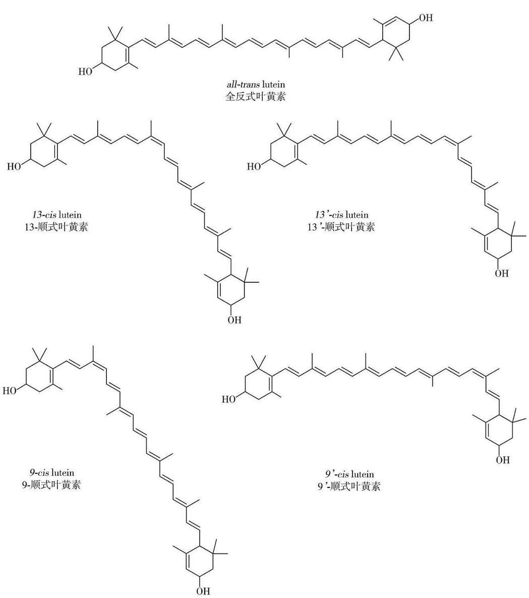 88,分子结构的碳骨架由中央多聚烯链和