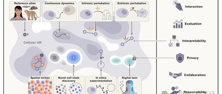 Virtual Cell Lean 展望使用人工智能构建虚拟细胞 - 知乎