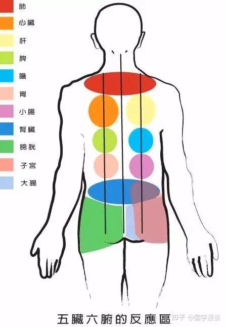 刮痧后红色、紫色、黑色各代表什么？最全痧印分析 - 知乎