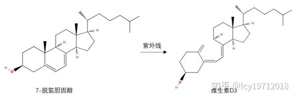 类固醇包括胆固醇 性激素 维生素d等人体必需物质 知乎