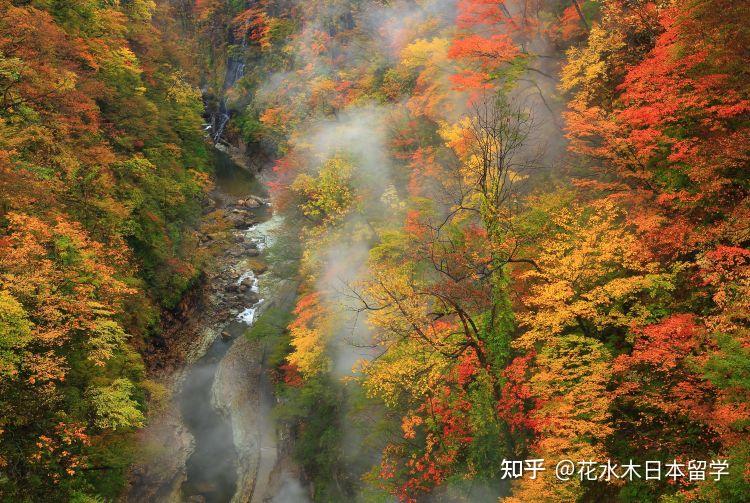 有趣的日语之描绘秋天的日本俳句 知乎