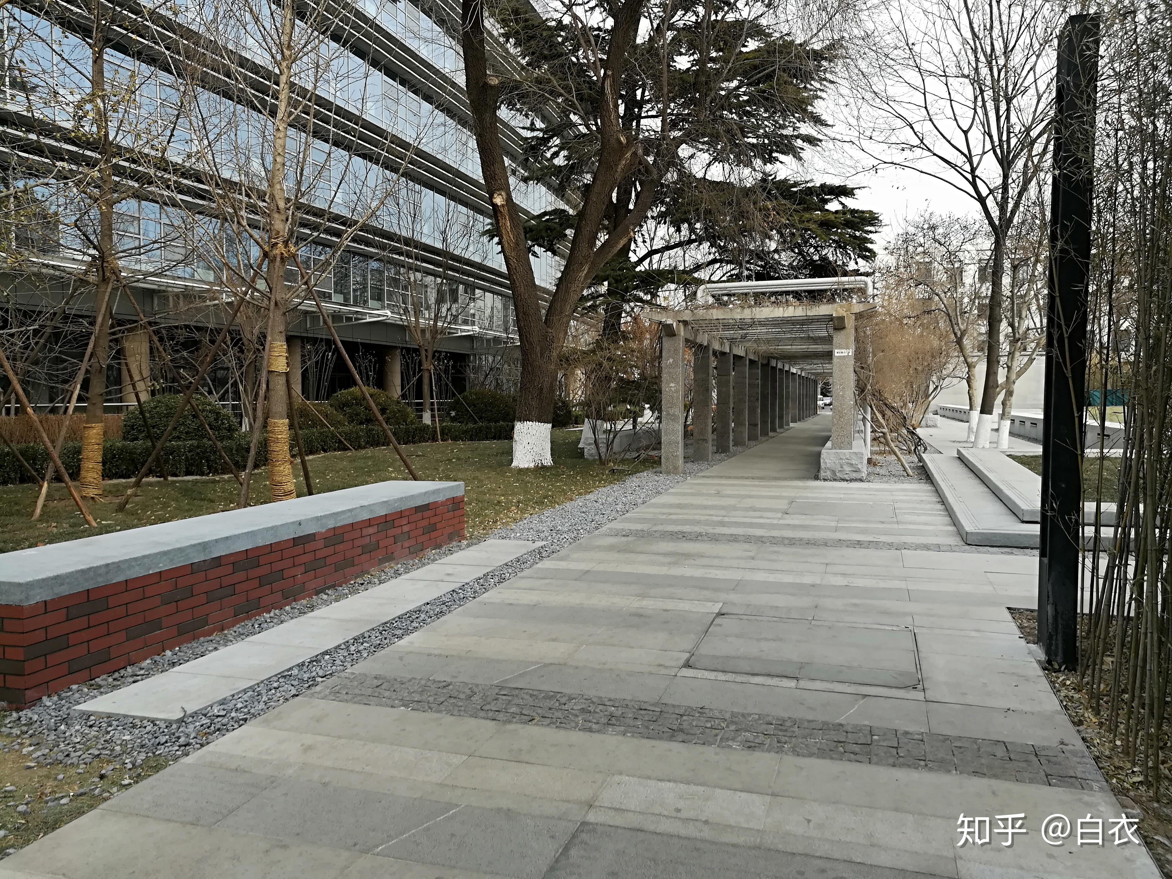 北京化工大学街道图片