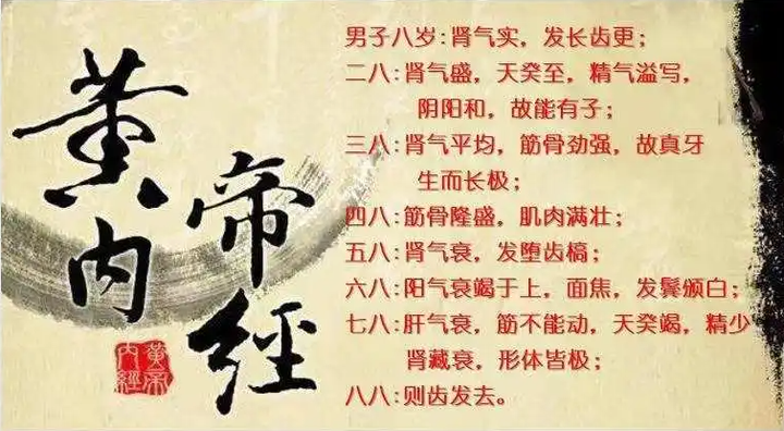 国内2.5亿人脱发,该如何治疗?黄帝内经:天癸竭,精少,肾藏衰 - 知乎