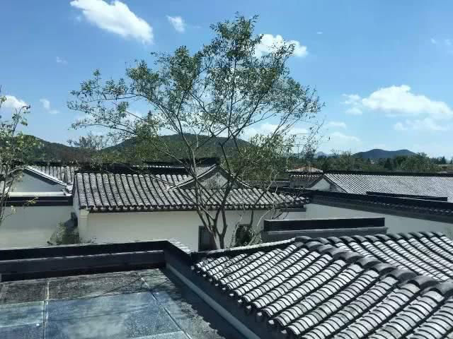 10个顶级中式宅院设计,惊艳世界的美 - 知乎
