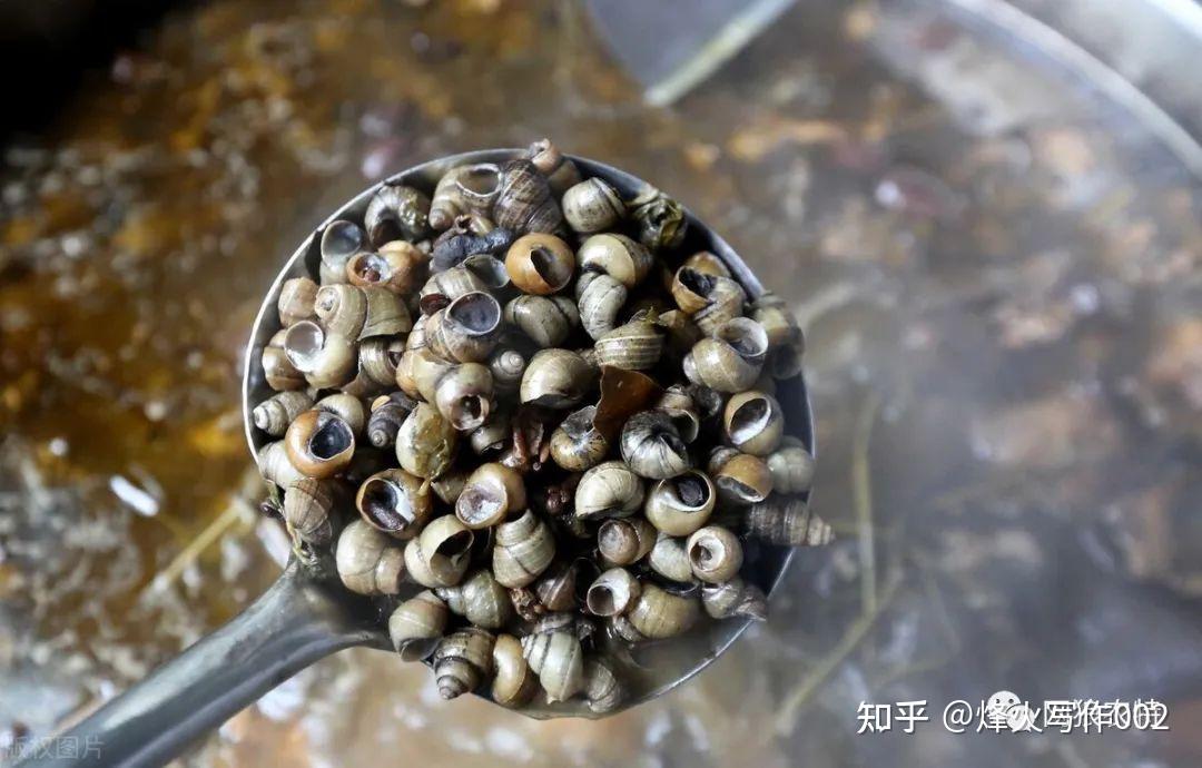 听说柳州很多螺蛳粉实体店铺的螺蛳汤都是这样做的