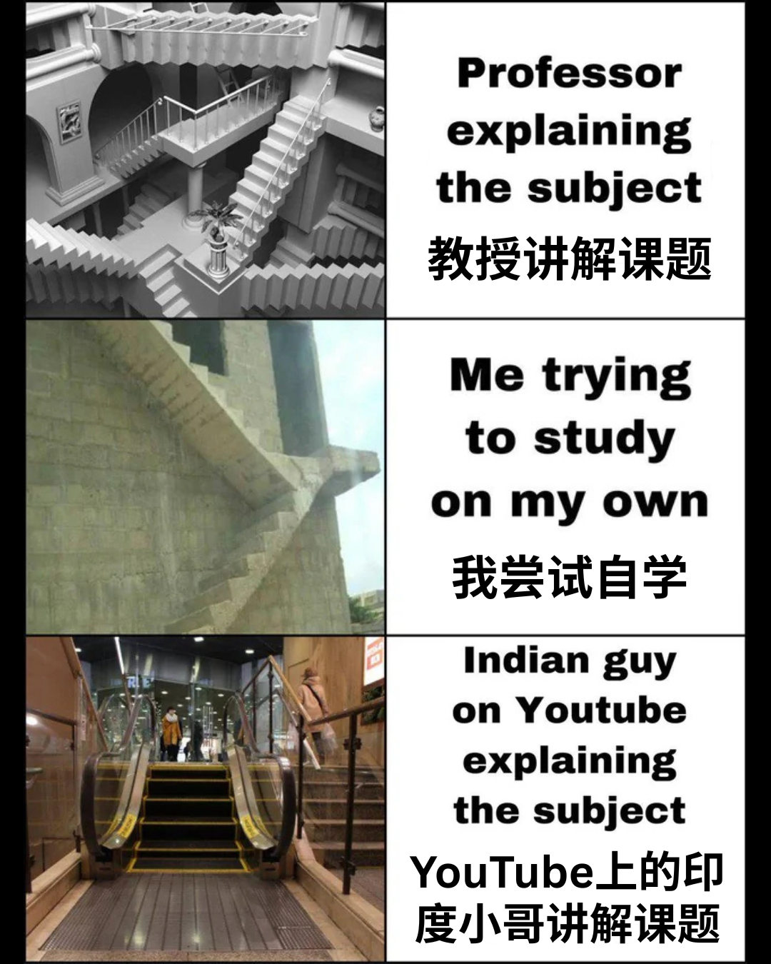【每日meme】大学生活篇 - 知乎