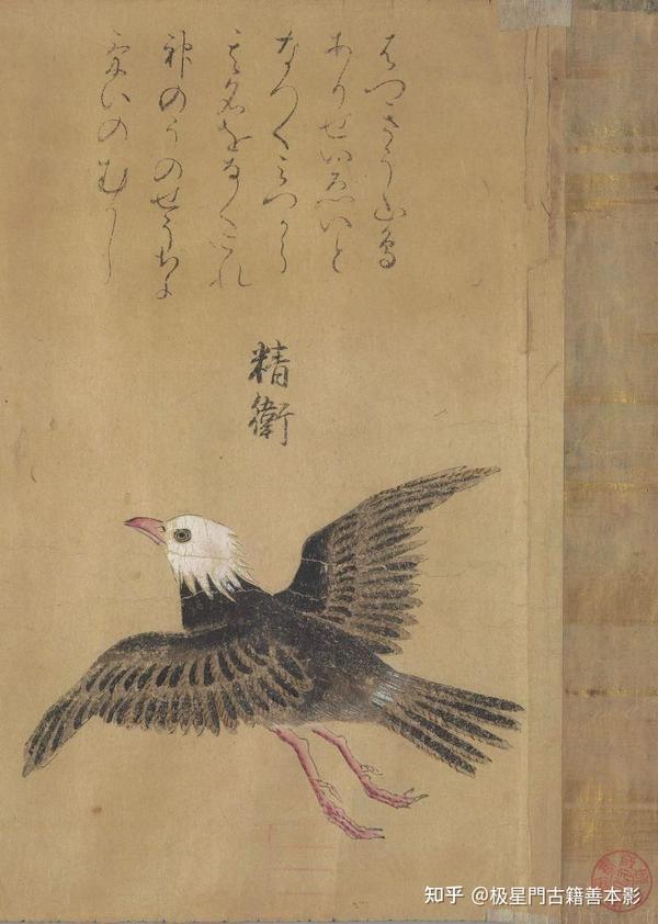 极星門古籍善本影印推荐~怪奇鸟兽图卷 - 知乎