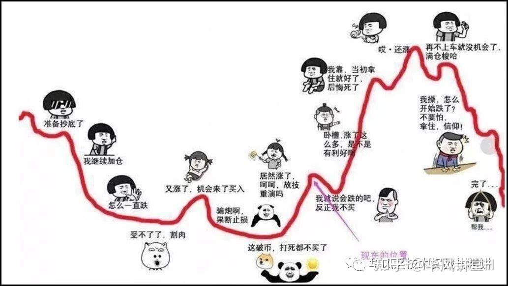 市场,我经常会看到很多人在刻意的准确成功率,企图通过学习各种 k线