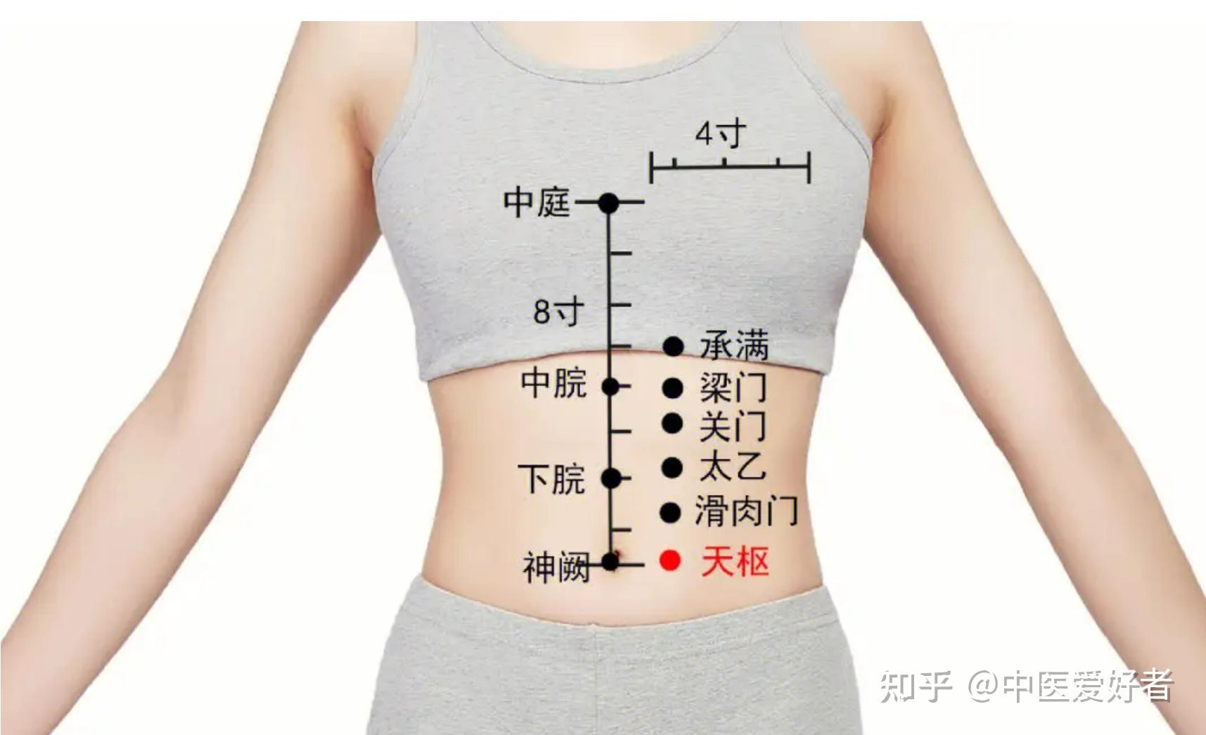 中医教你:按痛点、辨健康 - 知乎