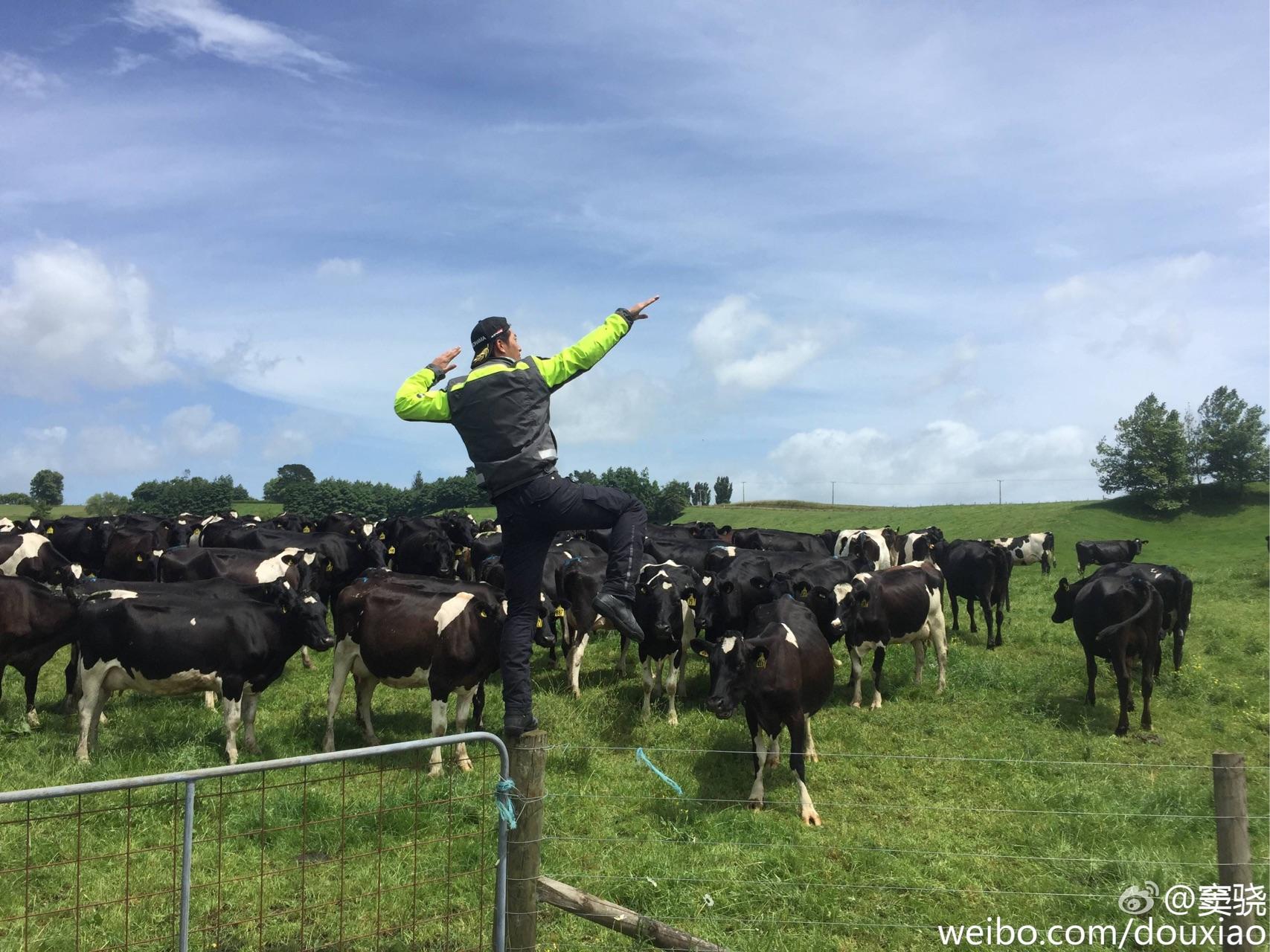 窦骁的美图或搞怪图有哪些?-窦骁帅照