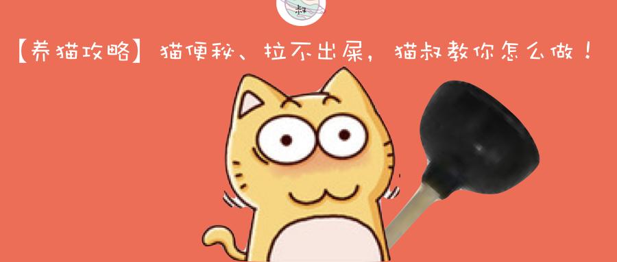 养猫攻略】猫便秘、拉不出屎，猫叔教你怎么做！ - 知乎