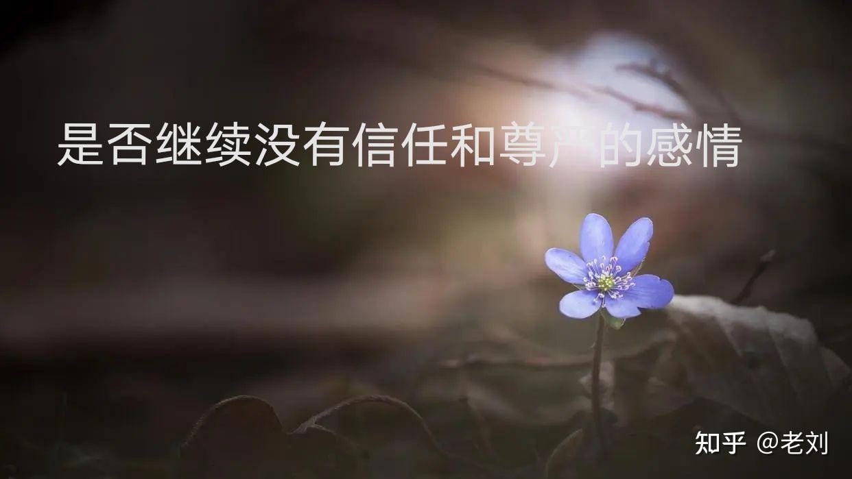 如何判断一份感情该不该继续? - 知乎