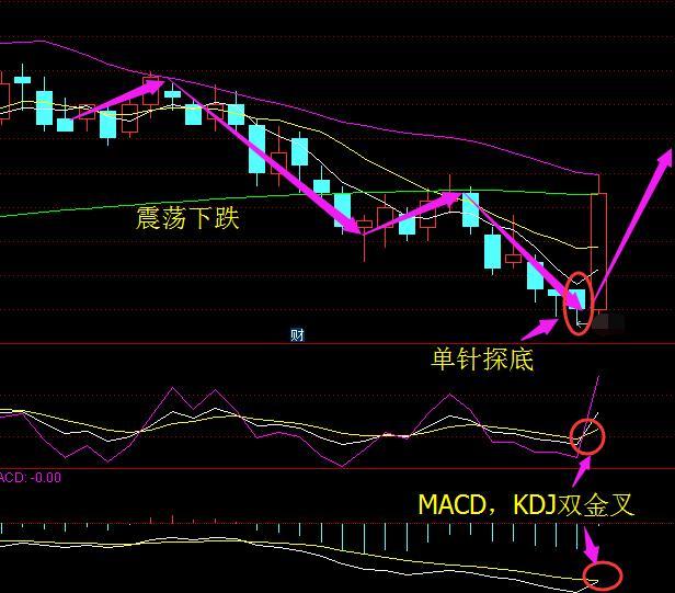 此股前期處在震盪下跌趨勢,在破位後在底部形成一個金針探底反轉信號