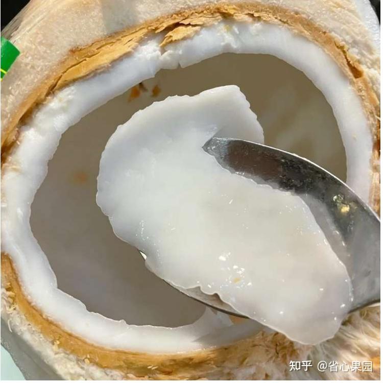 带皮青椰子椰汁是酸的是不熟么