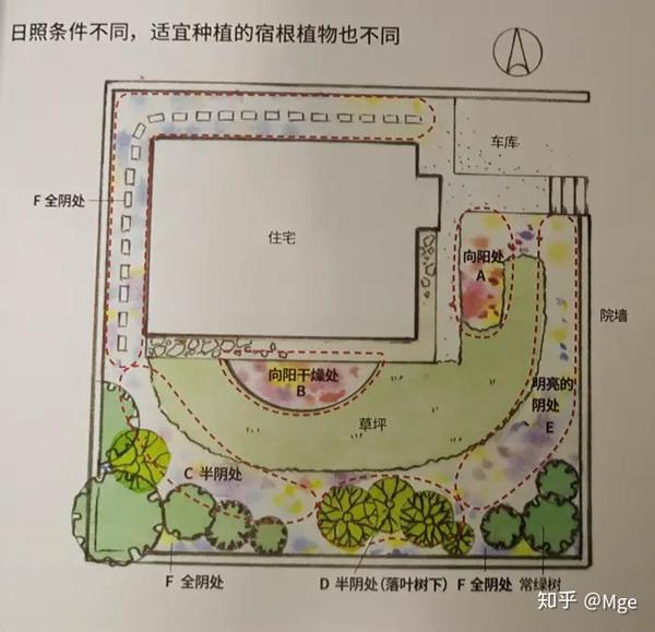 想打造一个属于自己的宿根花园吗 知乎