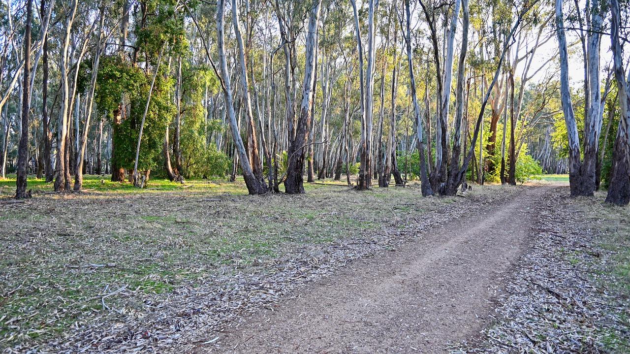 还款方式有哪些?