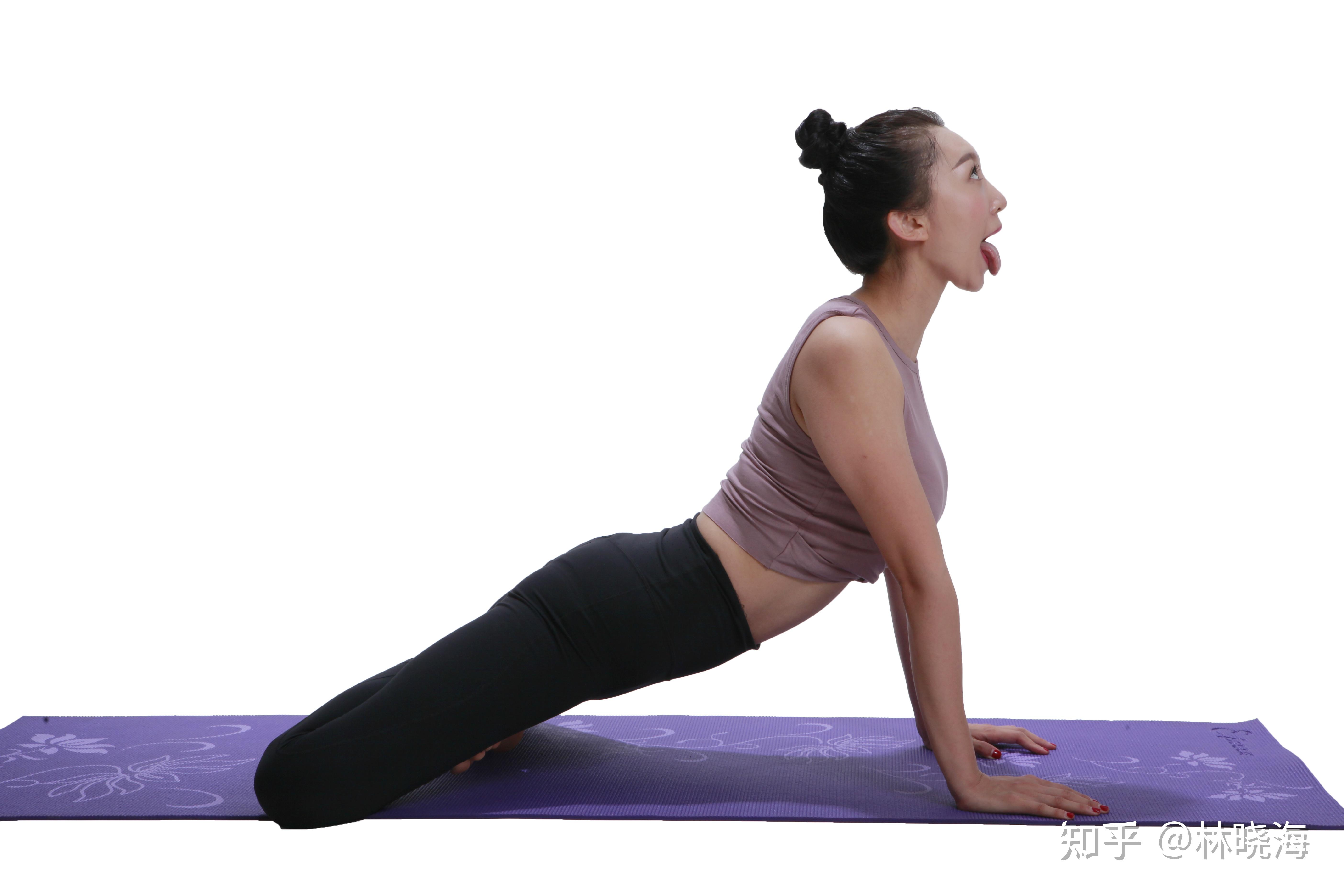 禅瑜伽72式狮吼式