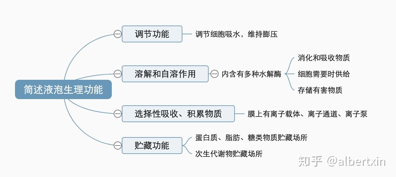 简述液泡的生理功能